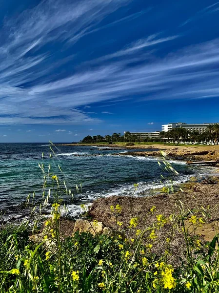 Deniz kıyısının güzel manzarası