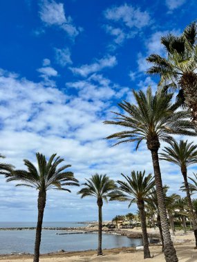 Sahilin güzel manzarası