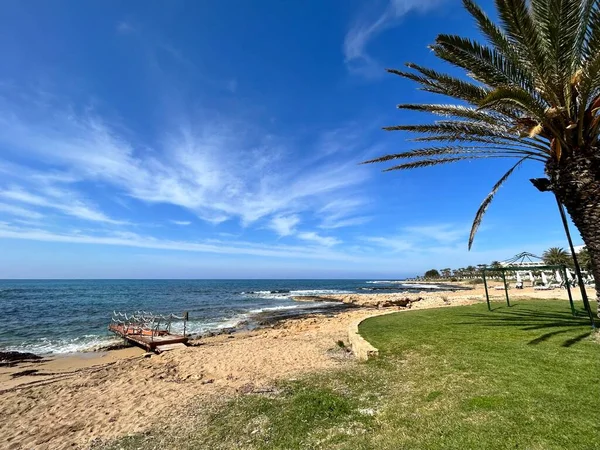 Beautiful Beach Palm Trees Blue Sky — Stock Photo, Image