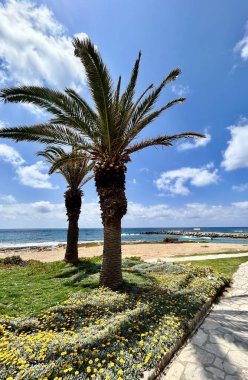 Güzel deniz manzarası