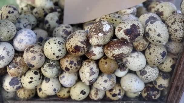 Raw Materials Quail Egg Sellers Make Fried Eggs — Vídeo de Stock