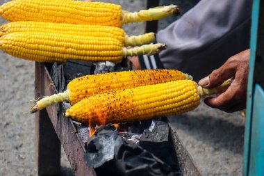 Cooked grilled corn looks especially good in cold weather.