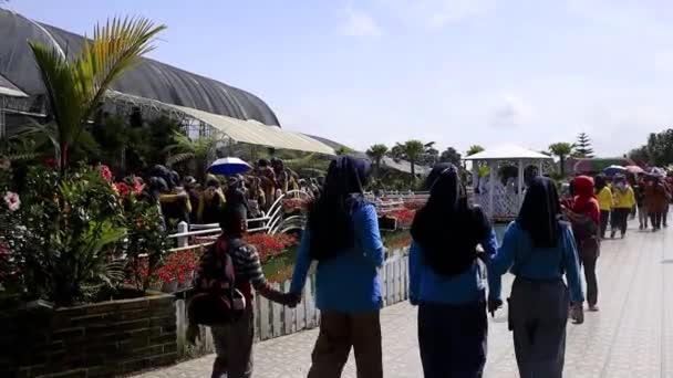 Semarang Aralık 2022 Birkaç Turist Semarang Daki Celosia Çiçek Bahçesinin — Stok video