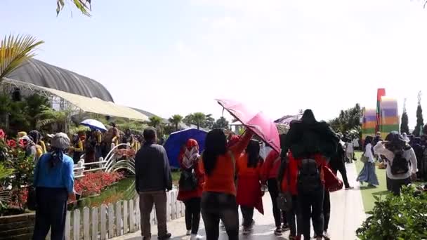 Semarang December 2022 Several Tourist Visitors Took Walk Enjoy Celosia — Stockvideo