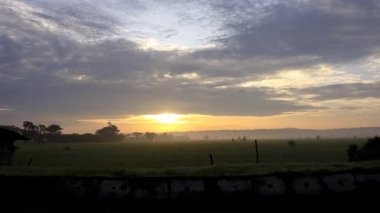 views of rice fields and the sun in the morning with cool weather
