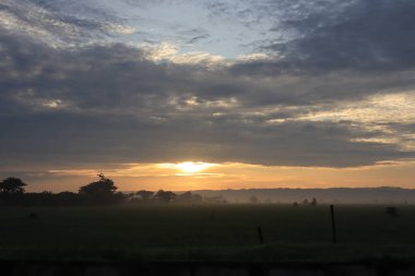 A lush, rural landscape of marshy paddy fields and pastures, filled with grasses and crops beneath a vast sky streaked with clouds.