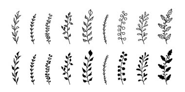 Hand drawn leaves branches set illustration