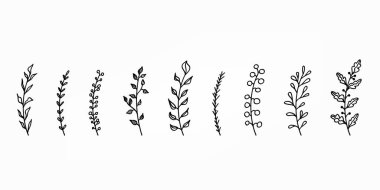 Hand drawn leaves branches set illustration