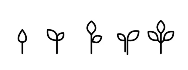 Leaf Plant Growth Icon Set Illustration — Stock Vector