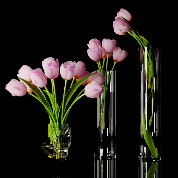 beautiful pink flowers in vase on black background