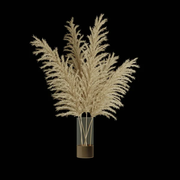 3 d illustration of a decorative plant isolated on a black background