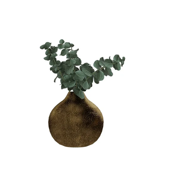 Goldene Eukalyptuspflanze Mit Grünen Blättern Der Vase Auf Weißem Hintergrund — Stockfoto