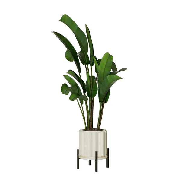 Weiße Orchidee Einem Metalltopf — Stockfoto