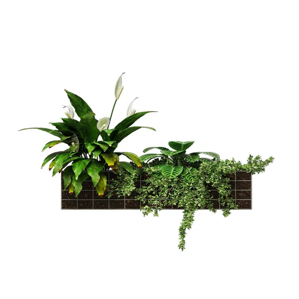 Rendern Grüne Pflanzen Der Vase — Stockfoto