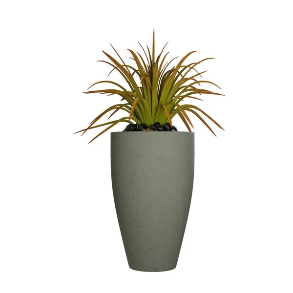 Plant Pot White Background — Stock Photo, Image