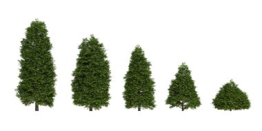 3d render ağaç koleksiyonu