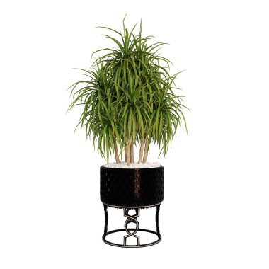 3d render ağaç koleksiyonu