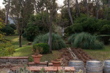 Green garden at the wine factory, Spain.