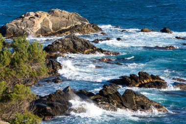 Deniz kıyısının güzel manzarası