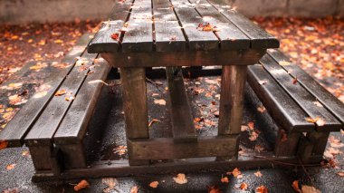 Parkta sonbahar yaprakları