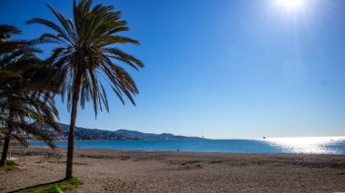 Deniz kıyısındaki güzel sahil