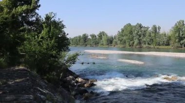 Parktaki güzel şelale