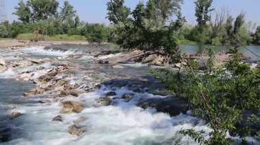 Ormanda güzel bir şelale