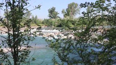 Doğanın arka planında güzel bir şelale