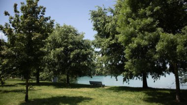 Güzel göl manzarası