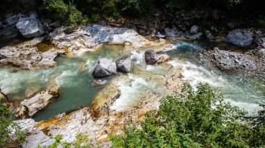 Dağ nehri, kayalar ve yeşil orman.