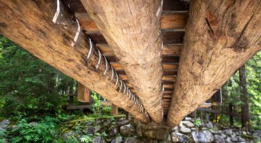 Ormanda ahşap köprü