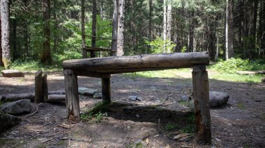 Ormandaki eski ahşap bank