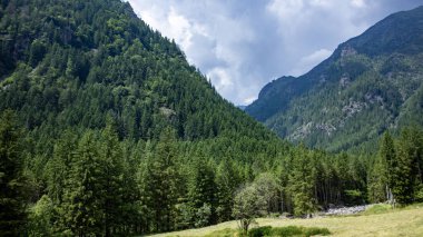 Dağların güzel manzarası