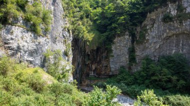 Ormandaki kayaların güzel manzarası