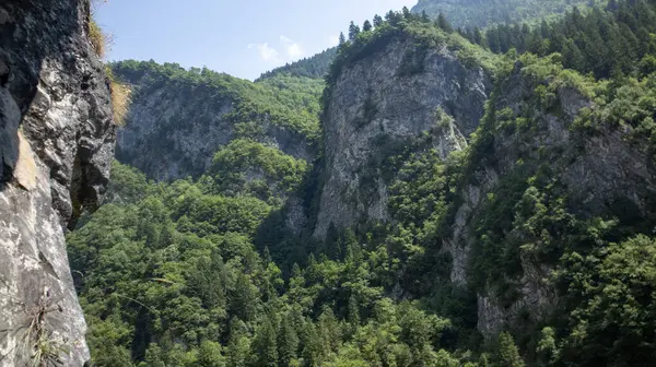 krasnaya Polyana Dağı. Soçi - Rusya.