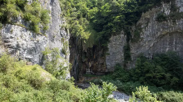 Ormandaki kayaların güzel manzarası