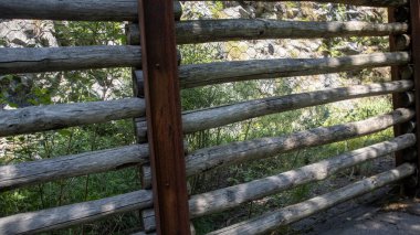 Ormandaki eski bir evin ahşap kapısı.