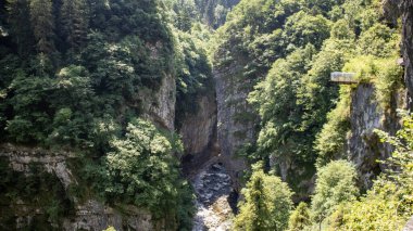 Ormanda güzel bir şelale