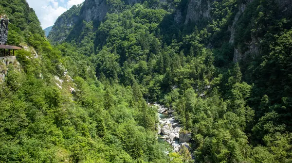 Dağları ve nehri olan güzel bir manzara, arka planda seyahat.