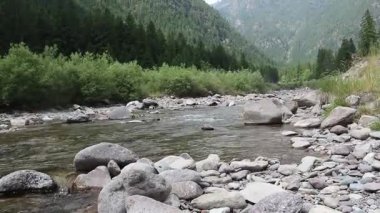 Altai dağlarındaki dağ nehri.