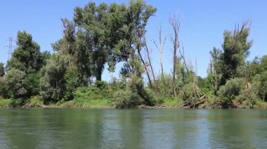 Ağaçlar ve suyla dolu nehir