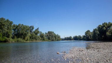 Arka planda ağaç olan nehir.