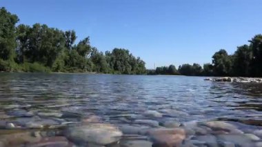 Ormanda nehir ve taşlar