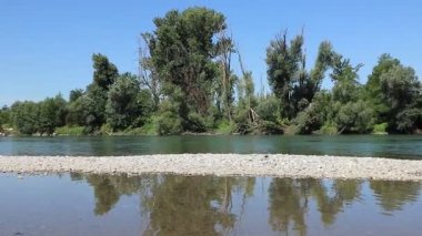 Gün boyunca açık bir gökyüzünün altında ağaçlarla çevrili bir nehir.