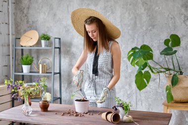 Kadın bahçıvanın eli, tahta masadaki seramik saksılarda bitki naklediyor. Ev bahçesi kavramı. Çiçek ve bahçe dükkanı