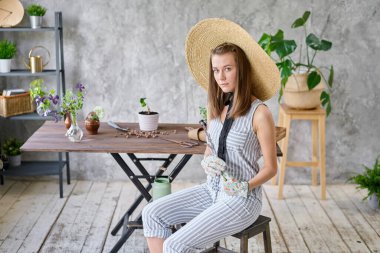 Kadın bahçıvanın ampul nakli yapan elleri ahşap masadaki çimento kaplarındaki sümbüller. Ev bahçesi kavramı. Çiçek ve bahçe dükkanı