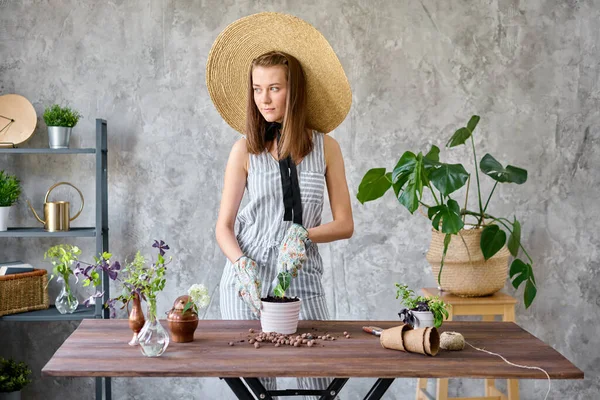 stock image Closeup hands of Woman gardener transplanting bulbous plants, hyacinths in cement pots on the wooden table. Concept of home garden. Flower and garden shop