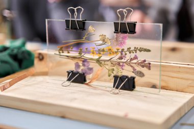 Boyalı camda Tiffany tekniğinde Herbaryum ile çerçeve oluşturma konusunda yüksek sınıf. Güzellik hatırası olarak bir bardağın altına yerleştirilmiş kurumuş farklı bitki ve çiçeklerden oluşan bitki örtüsü. Dekorasyon ve dekor