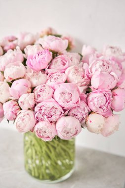 Sevimli ve güzel Şakayık. çok katmanlı yaprakları. Soluk pembe peonies çiçekler açık gri renkli bir grup. Duvar kağıdı, dikey fotoğraf