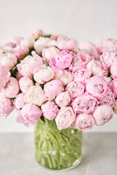 可爱又可爱的牡丹 许多层状花瓣 束淡粉红色牡丹花浅灰色背景 — 图库照片